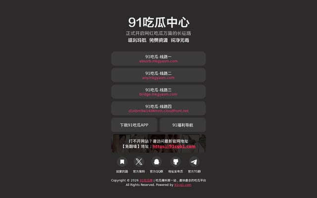 Screenshot of 91cg.asia