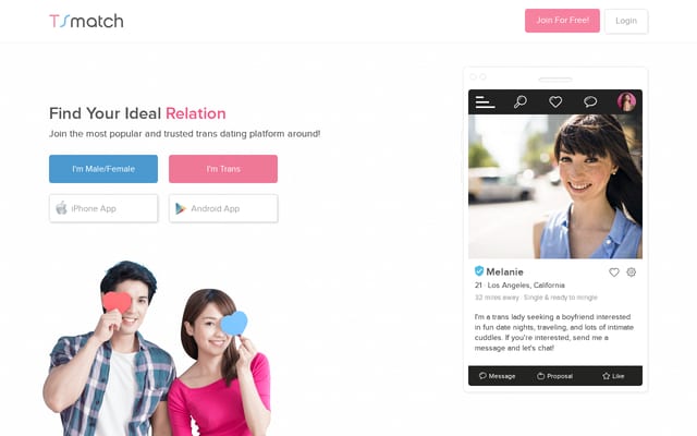 Screenshot of tsmatch.com
