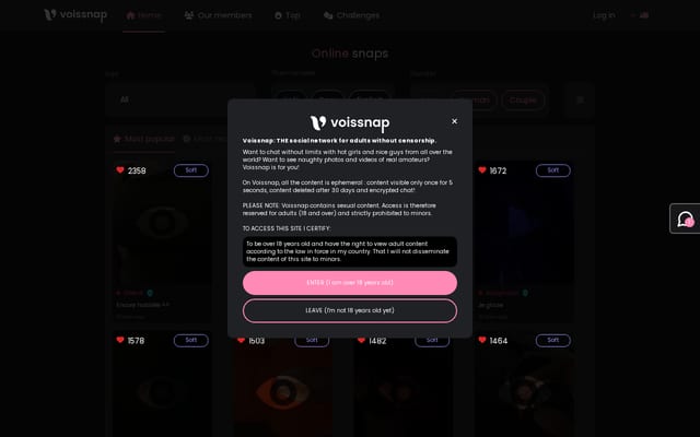 Screenshot of voissnap.com