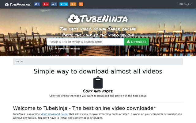 Screenshot of tubeninja.net
