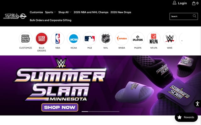Screenshot of islideusa.com