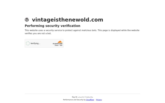 Screenshot of vintageisthenewold.com