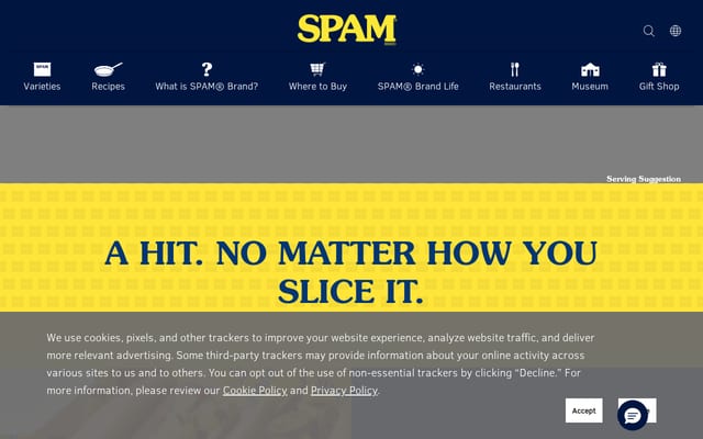 Screenshot of spam.com
