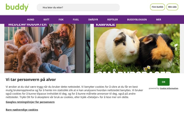 Screenshot of buddy.no