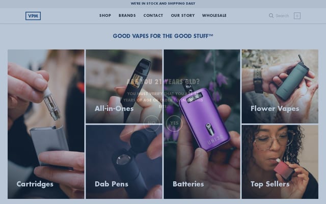 Screenshot of vpm.com