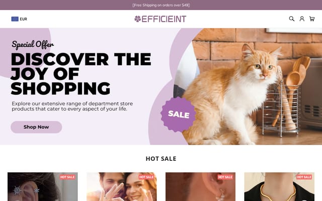 Screenshot of efficieint.com