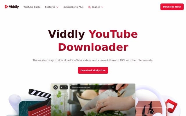 Screenshot of viddly.net