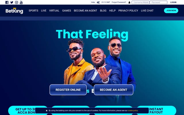 Screenshot of betking.com