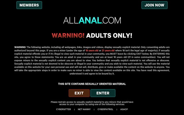 Screenshot of allanal.com