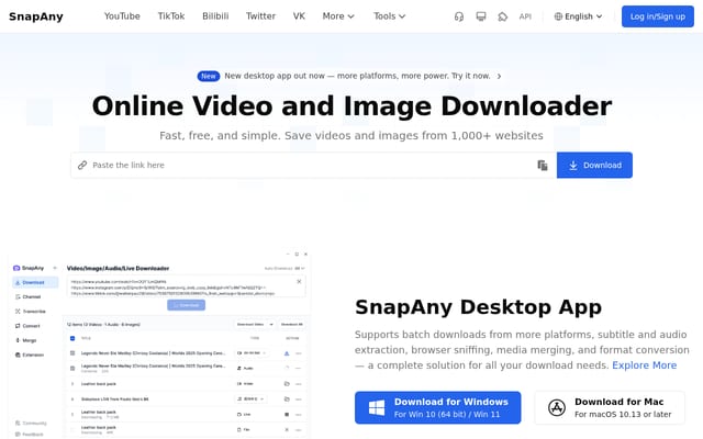 Screenshot of snapany.com