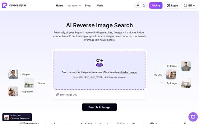 Screenshot of reversely.ai