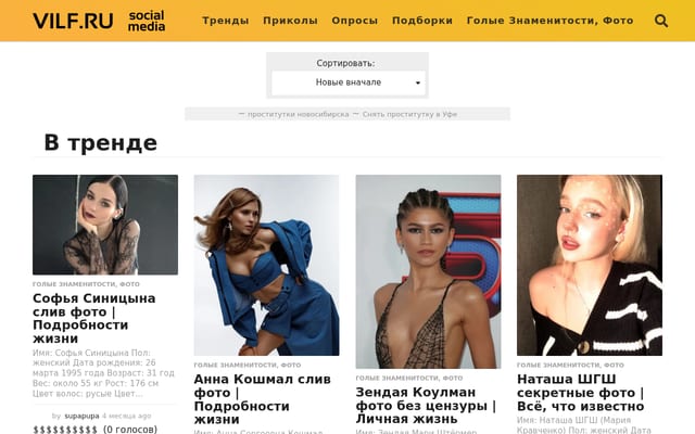 Screenshot of vilf.ru