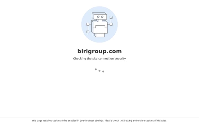 Screenshot of birigroup.com