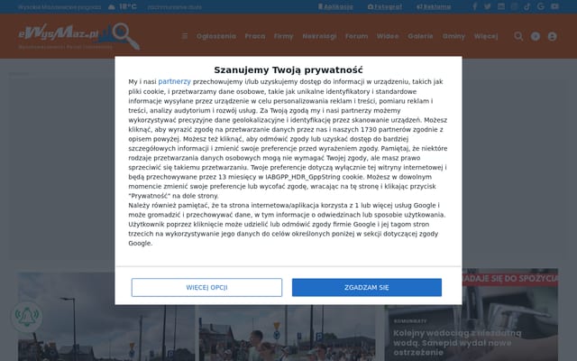 Screenshot of ewysmaz.pl