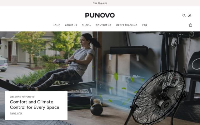 Screenshot of punovo.com