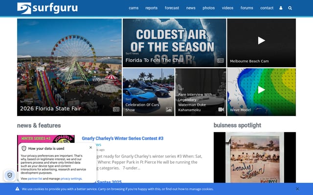 Screenshot of surfguru.com