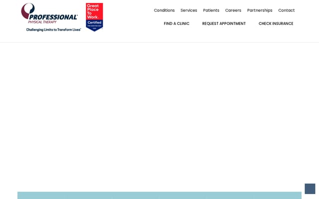 Screenshot of professionalpt.com
