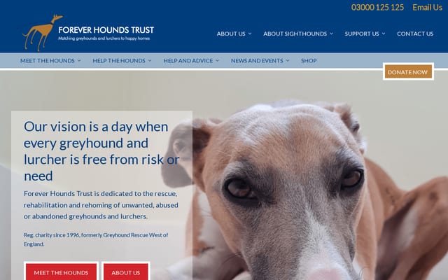 Screenshot of grwe.com
