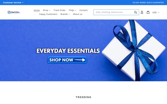 Screenshot of zincera.co
