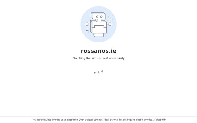 Screenshot of rossanos.ie