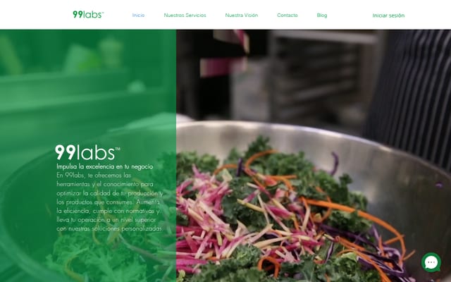 Screenshot of 99labs.com