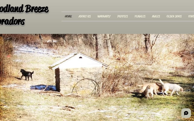 Screenshot of woodlandbreezelabs.com