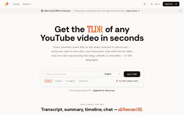 Screenshot of you-tldr.com