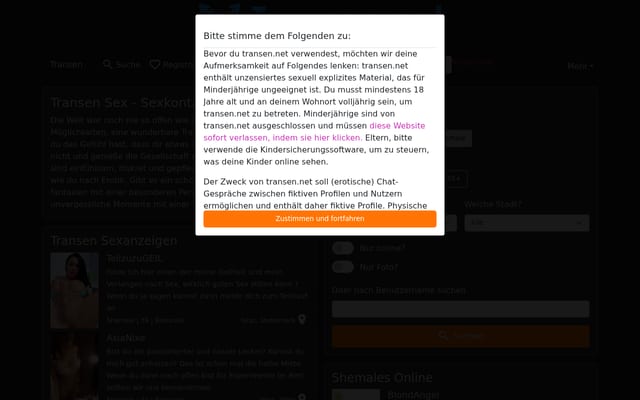 Screenshot of transen.net