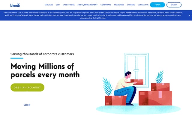 Screenshot of blue-ex.com