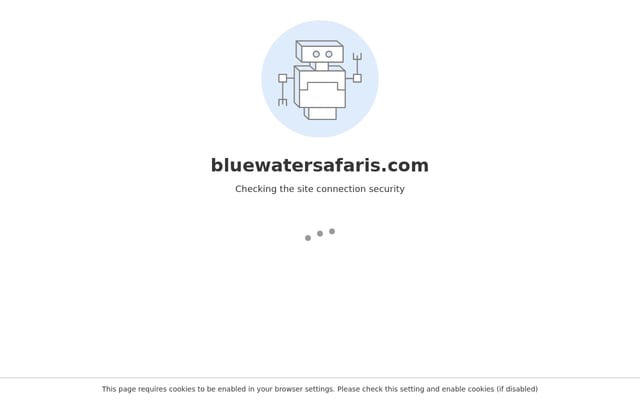 Screenshot of bluewatersafaris.com