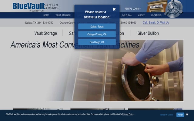 Screenshot of bluevaultsecure.com