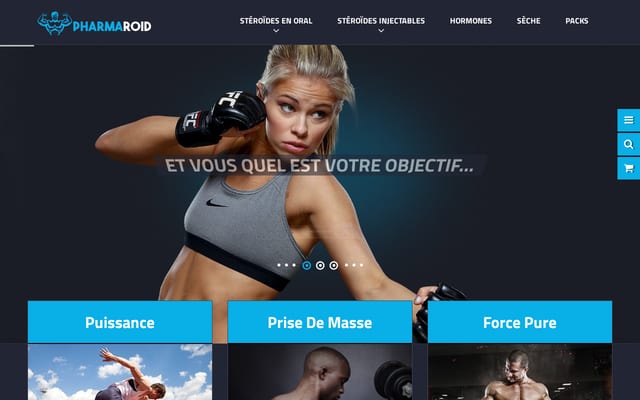 Screenshot of pharmaroid.com