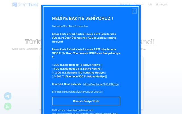 Screenshot of smmturk.net