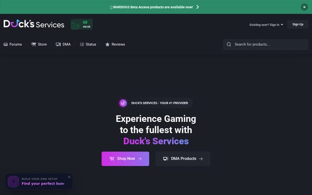 Screenshot of ducks-services.com