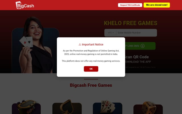 Screenshot of bigcash.live