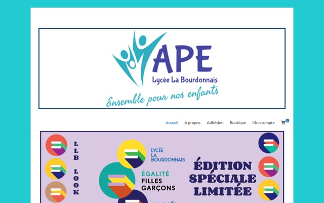 Screenshot of ape-llb.com
