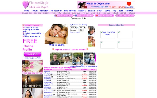 Screenshot of vietnamsingle.com
