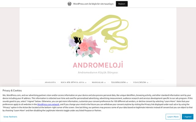 Screenshot of andromeloji.wordpress.com