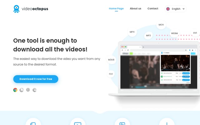 Screenshot of videooctopus.net