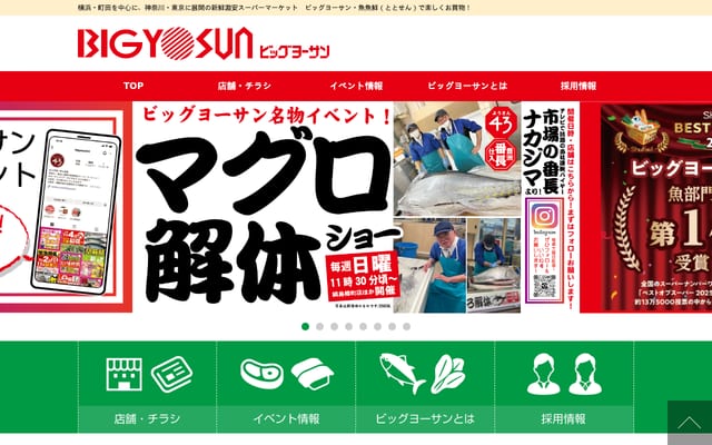 Screenshot of bigyosun.com