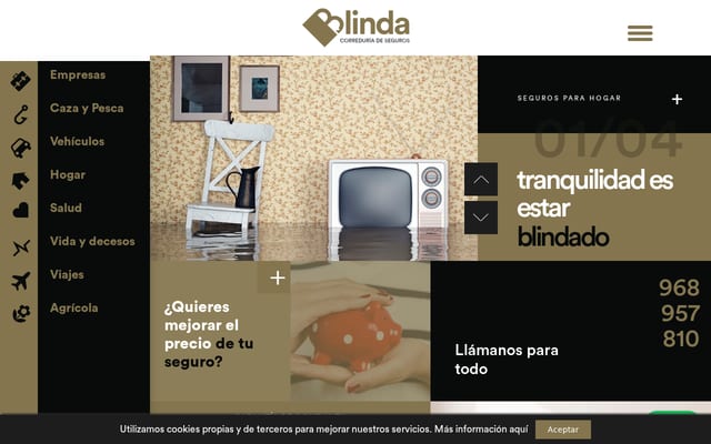 Screenshot of blinda.es