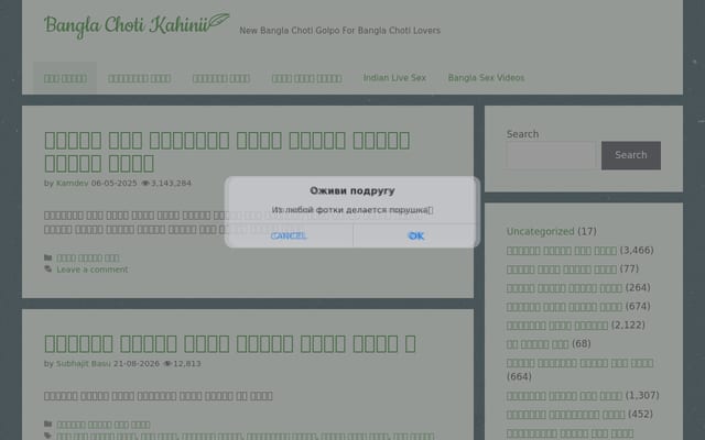 Screenshot of banglachotikahinii.com