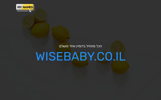 Screenshot of wisebaby.co.il
