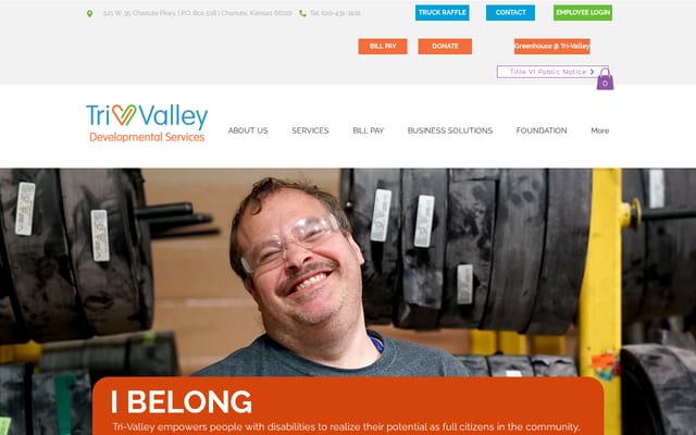 Screenshot of tvds.org