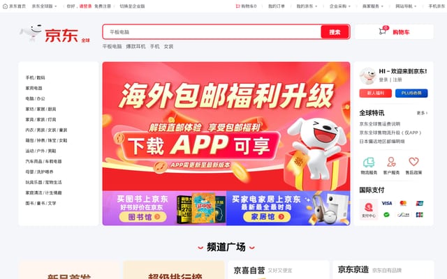 Screenshot of jd.com