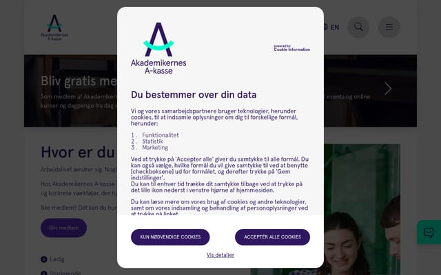 Screenshot of aka.dk