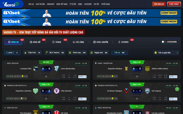 Screenshot of vaoroi2.com