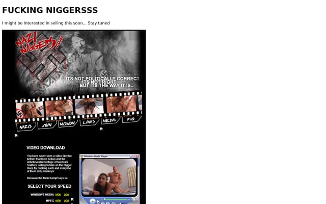 Screenshot of nazi-niggers.com