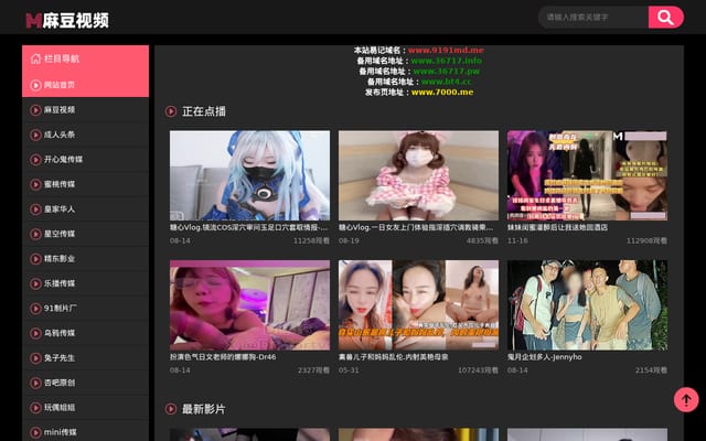 Screenshot of 91md.me