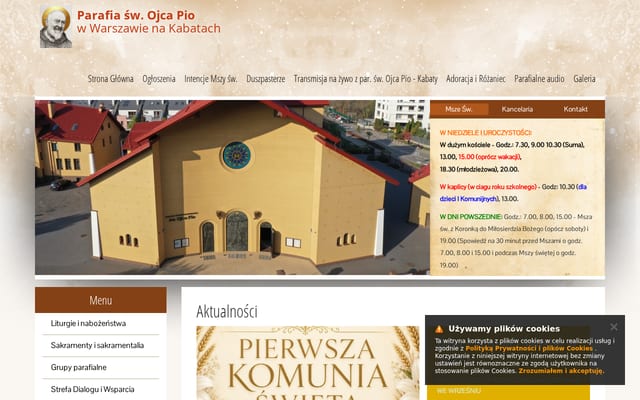 Screenshot of opio.pl